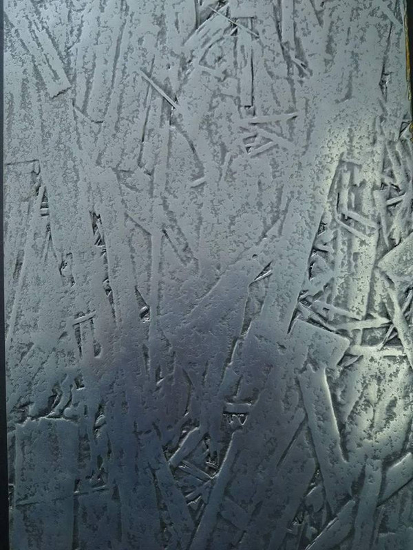 13327487_1478736122152642_651678084