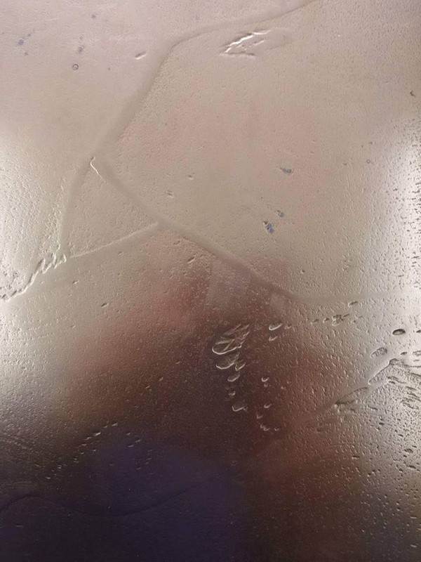 13346560_1478736162152638_577028186