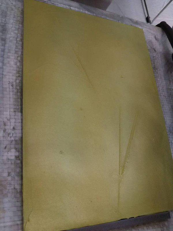 13393970_1478735985485989_724363267